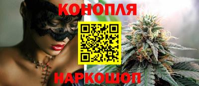 гашик Краснознаменск