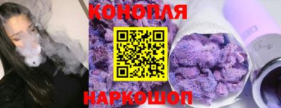 гашик Краснознаменск