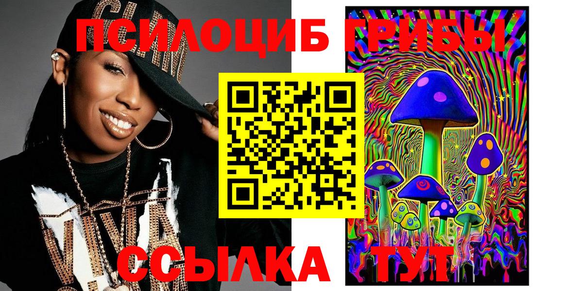 Псилоцибиновые грибы Psilocybe Железногорск